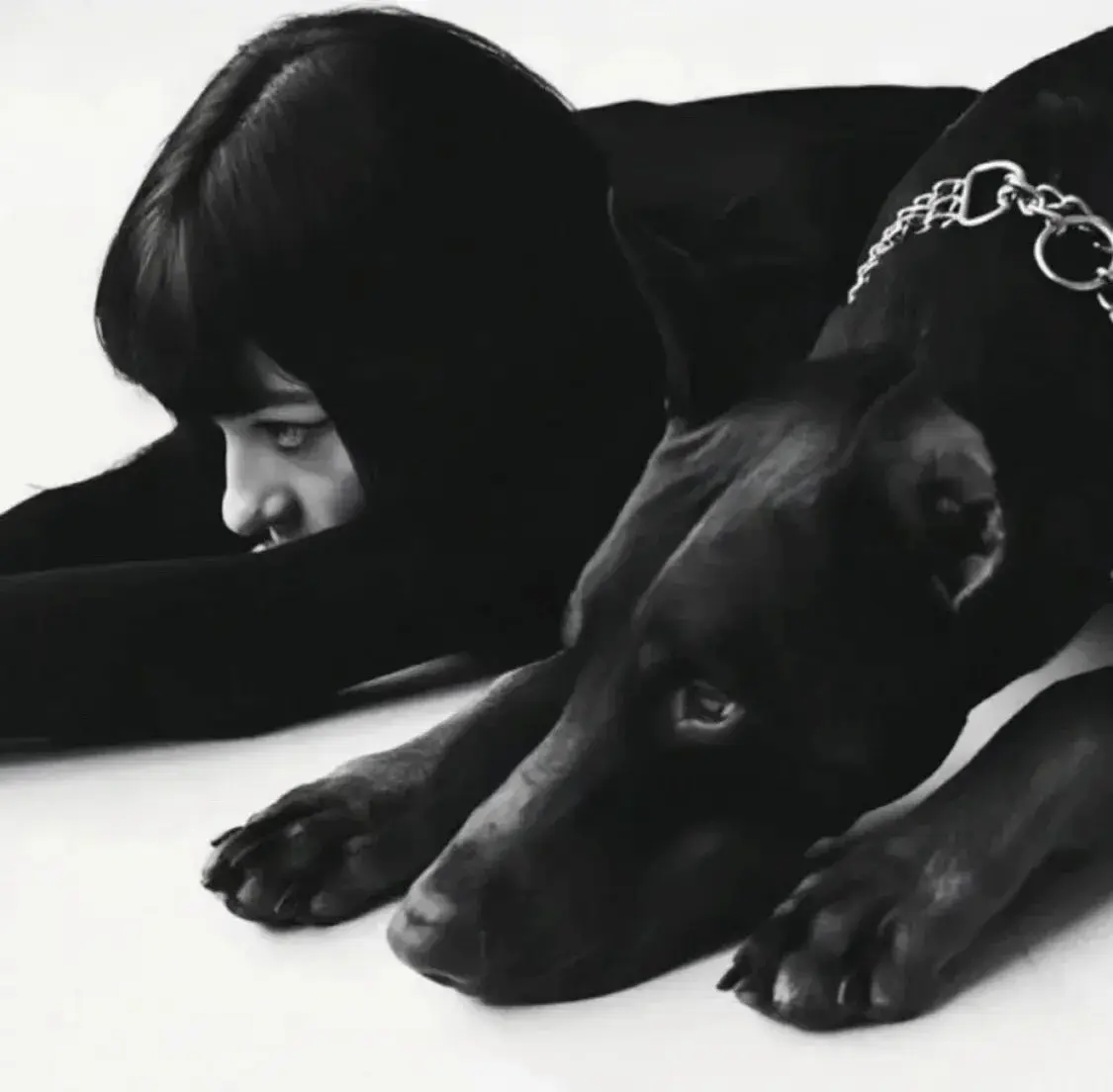 【西檬之家】字母圈新人入圈指南：BDSM安全、术语与核心原则