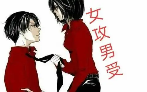 西檬之家-字母圈新人如何正确理解BDSM与SSC原则？