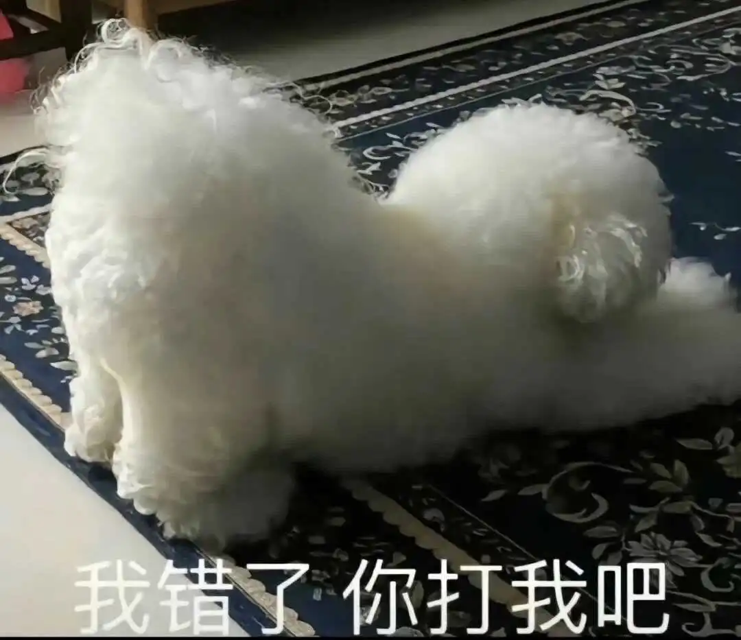 西檬之家-新人入圈指南：全面解析BDSM语境下的关键术语