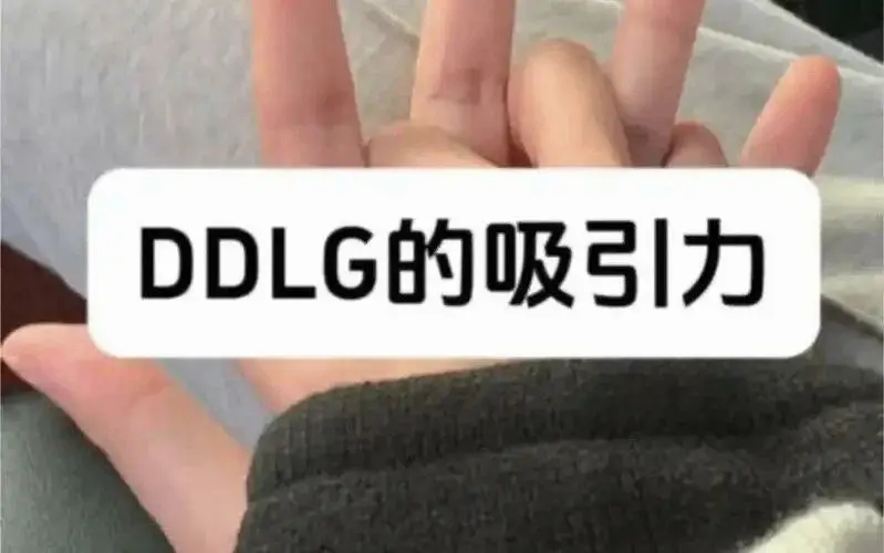 西檬之家-字母圈的K9是什么？