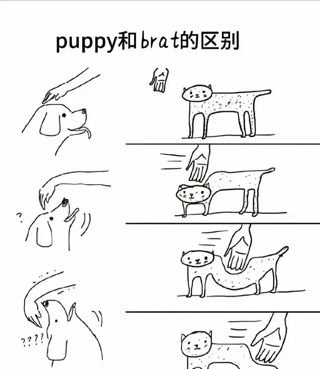 【西檬之家】字母圈新人入门：解析BDSM核心术语与安全准则