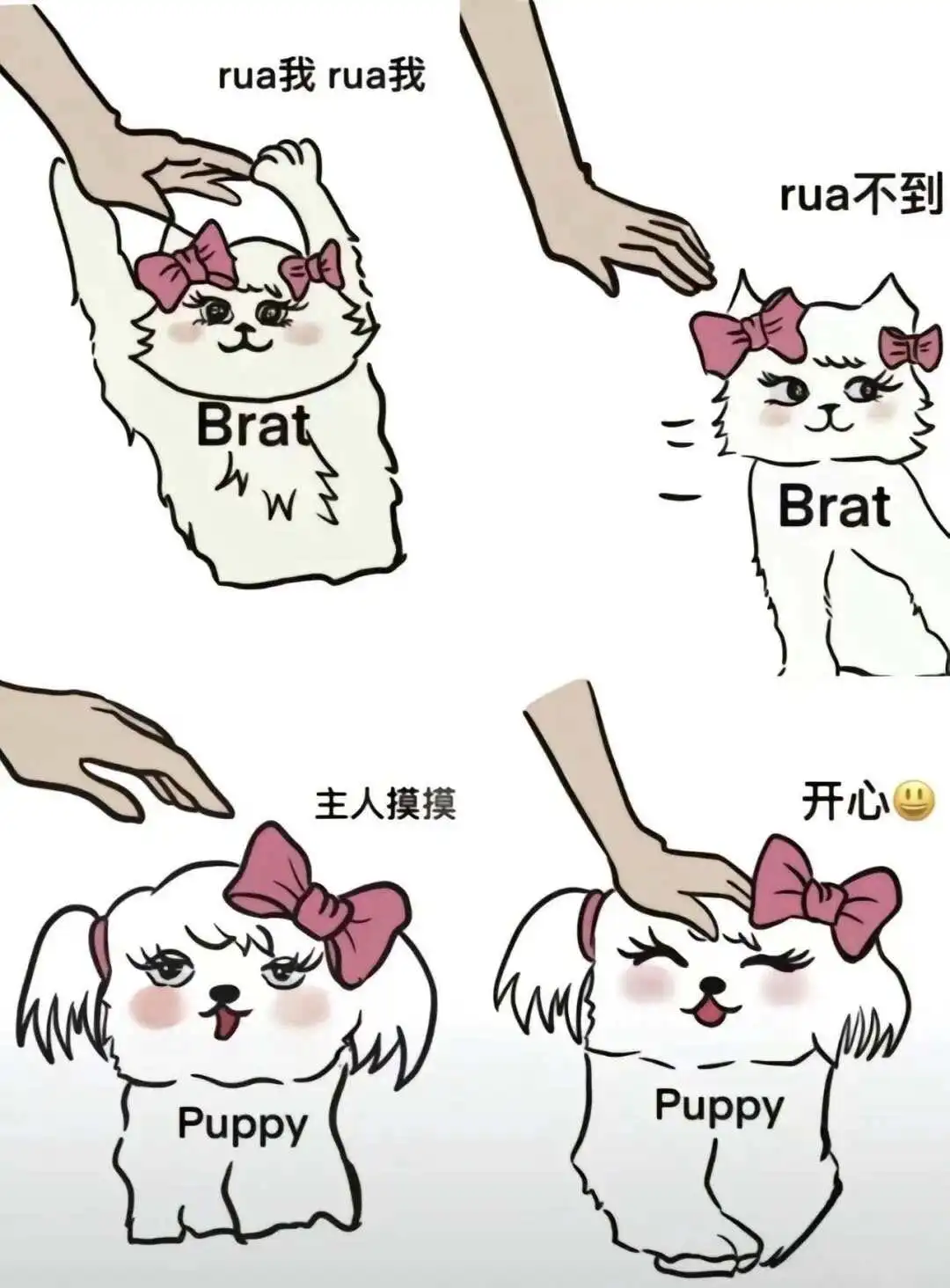 践踏癖 - 2023_12_05_21_27_IMG_9364