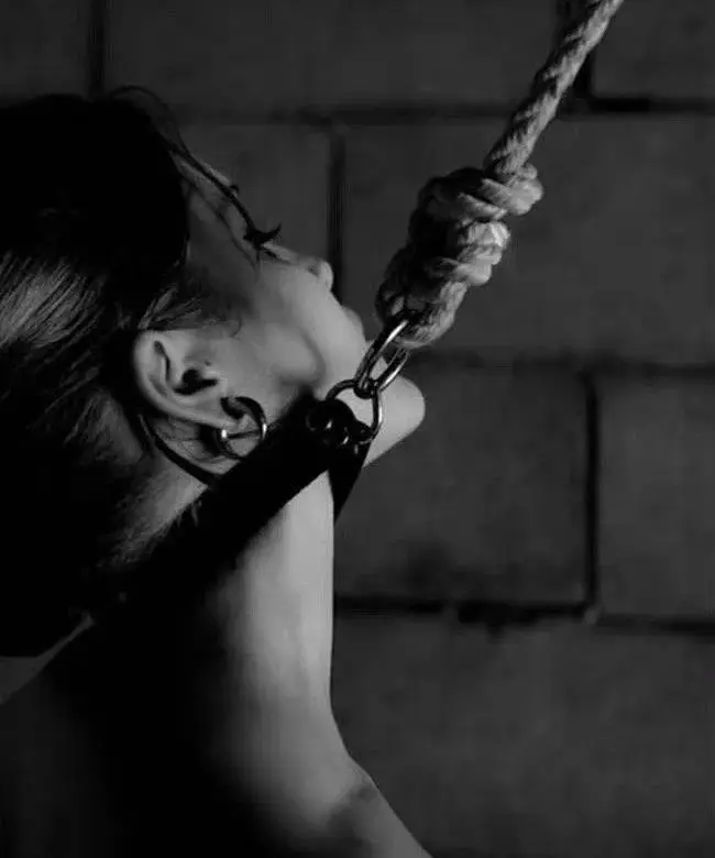 西檬之家-BDSM字母圈新人权威指南