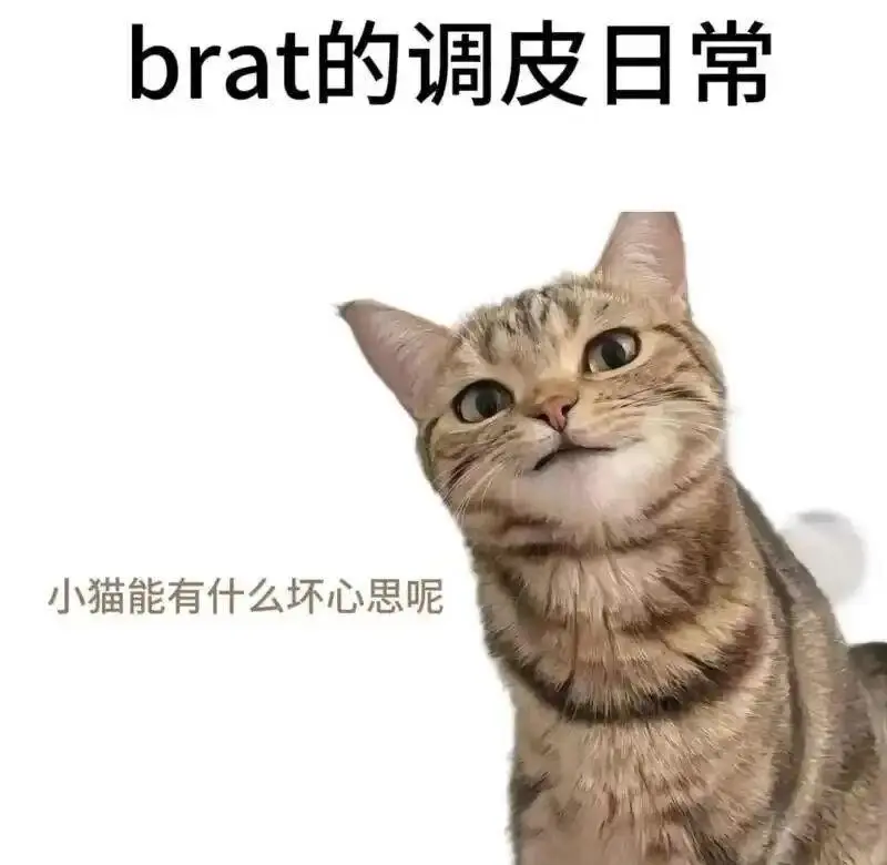 西檬之家-字母圈的Tickle是什么？新人入圈指南