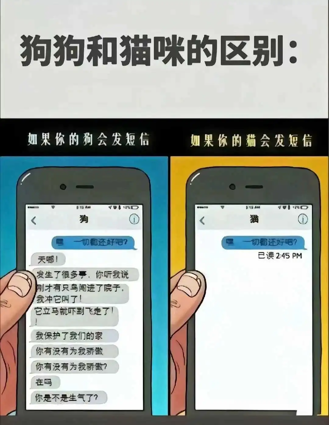 【西檬之家】S属性解析：新手入门与核心概念全科普