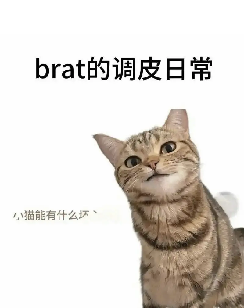 西檬之家-Dom是什么？Dom的概念与特点解析