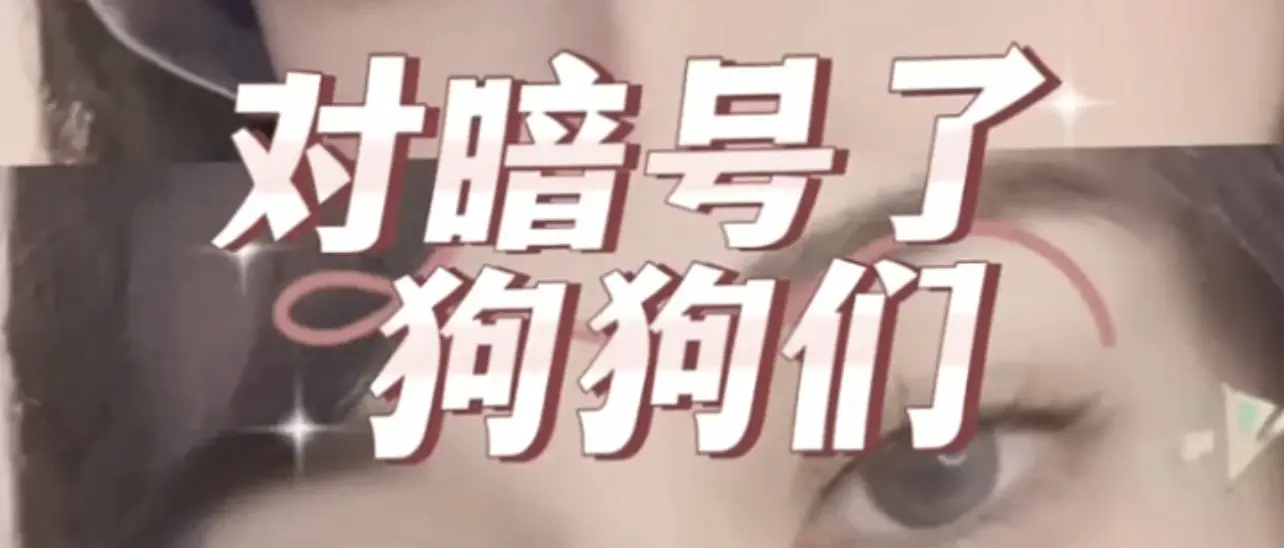 西檬之家-字母圈女王角色指南
